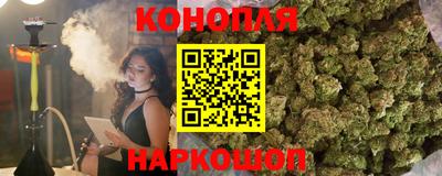 apvp Ярославль