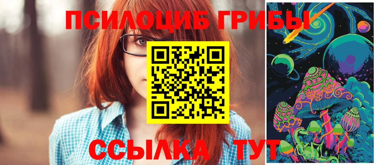 Галлюциногенные грибы GOLDEN TEACHER  Серов  Галлюциногенные грибы Psilocybine cubensis 